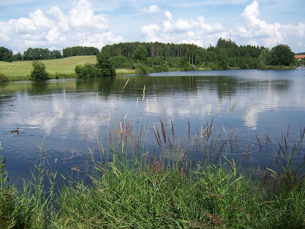 Idylle Haselbachsee